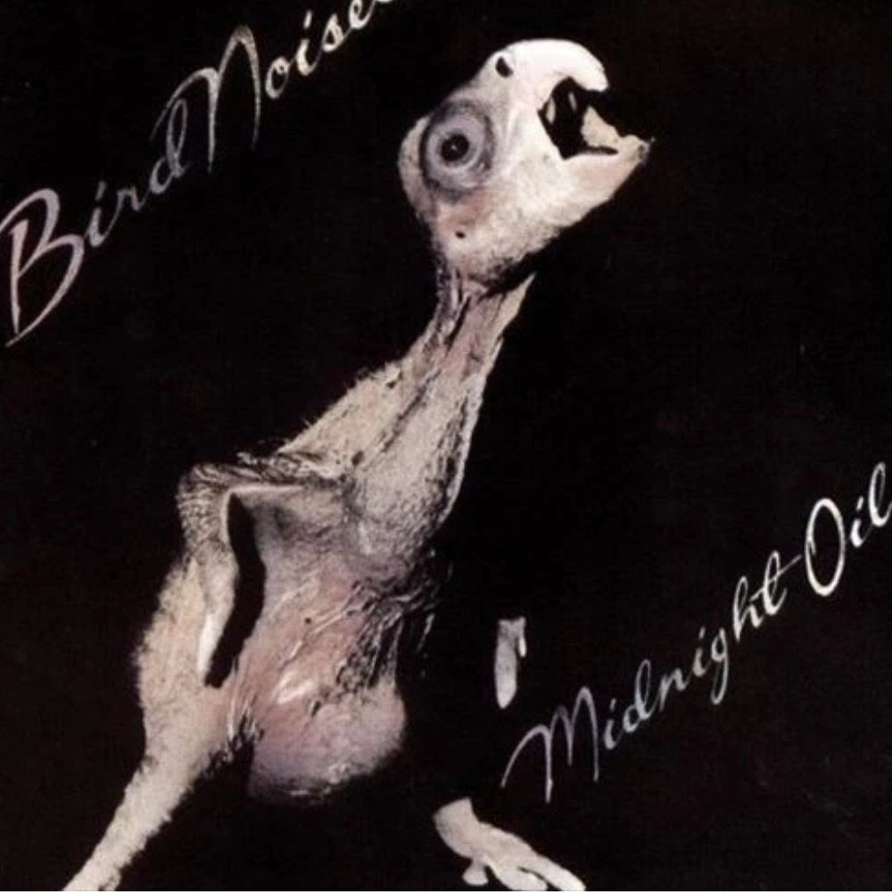 Midnight Oil - Bird Noises - Vinyl LP Record