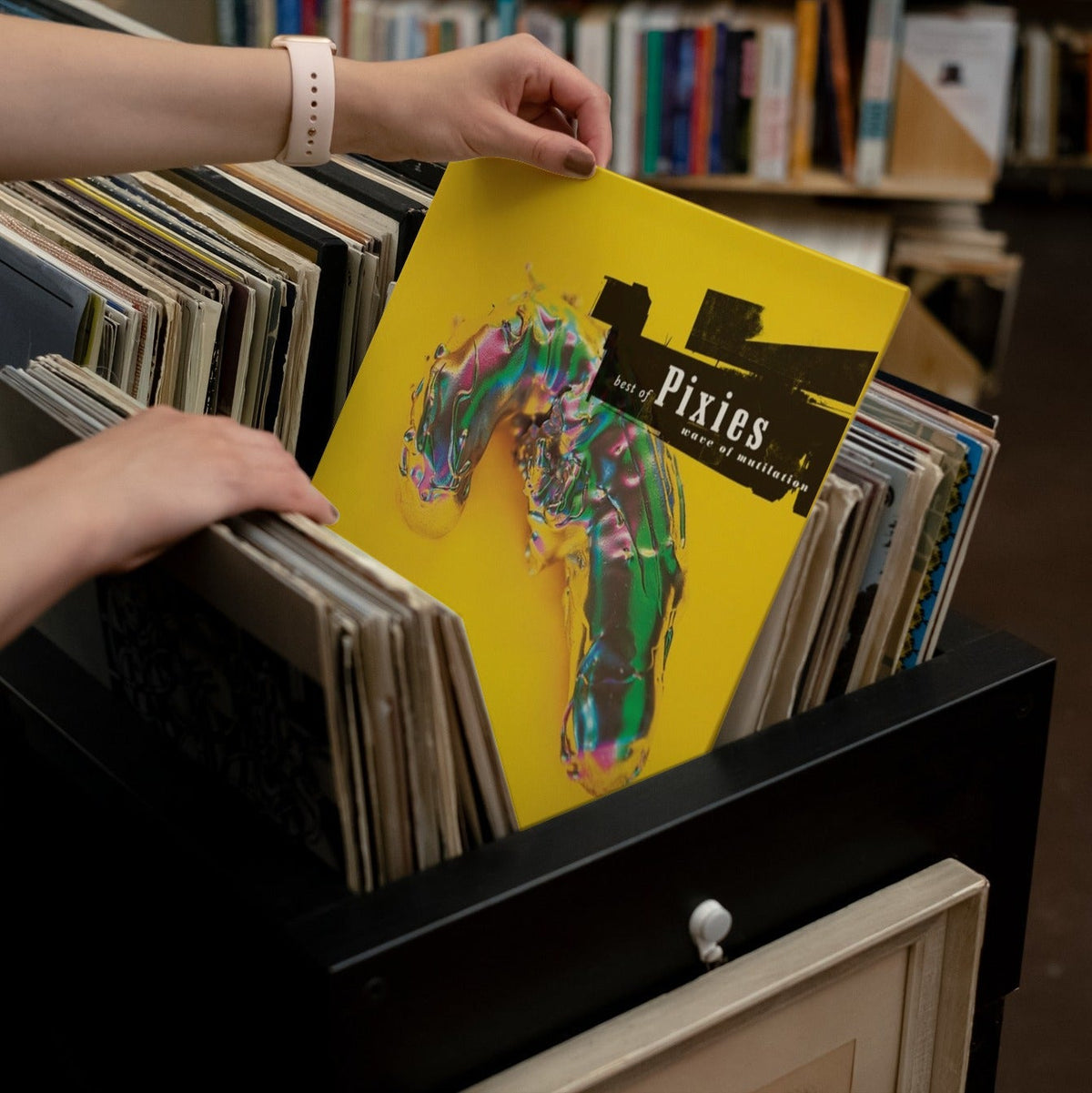 Pixies - Best Of Pixies (Wave Of Mutilation) - 【Vinyl LP 】