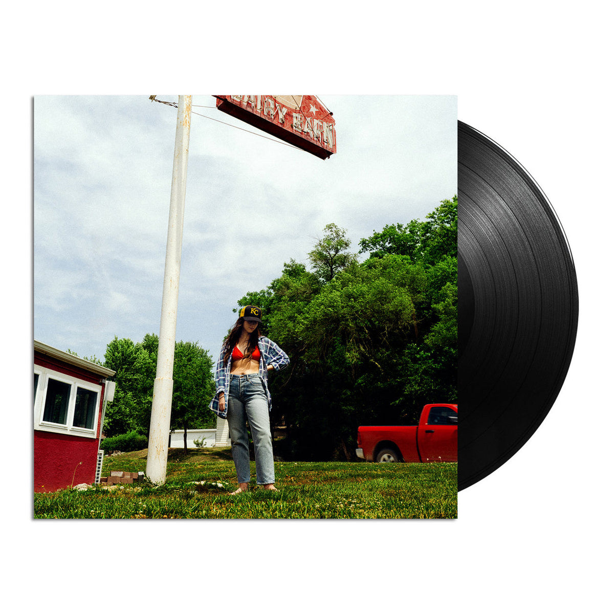 Tigers Blood: Vinyl LP (w/ Poster) [ vinyl ]