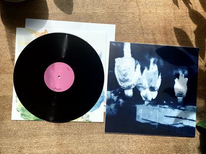 No More Apocalypse Father: Vinyl LP [ vinyl ]
