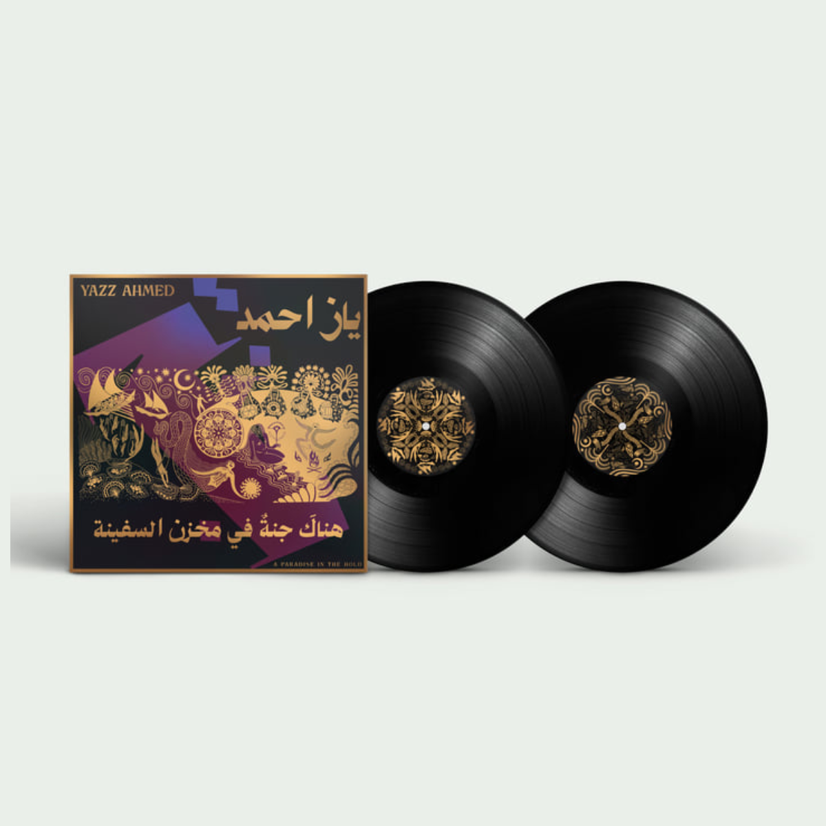 A Paradise In The Hold: Vinyl 2LP [ vinyl ]