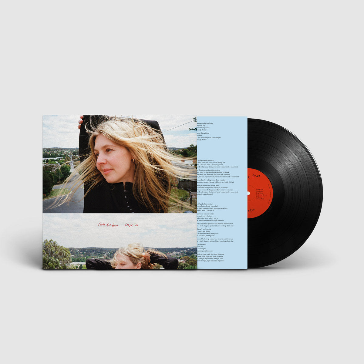 Confession: Vinyl LP [ vinyl ]