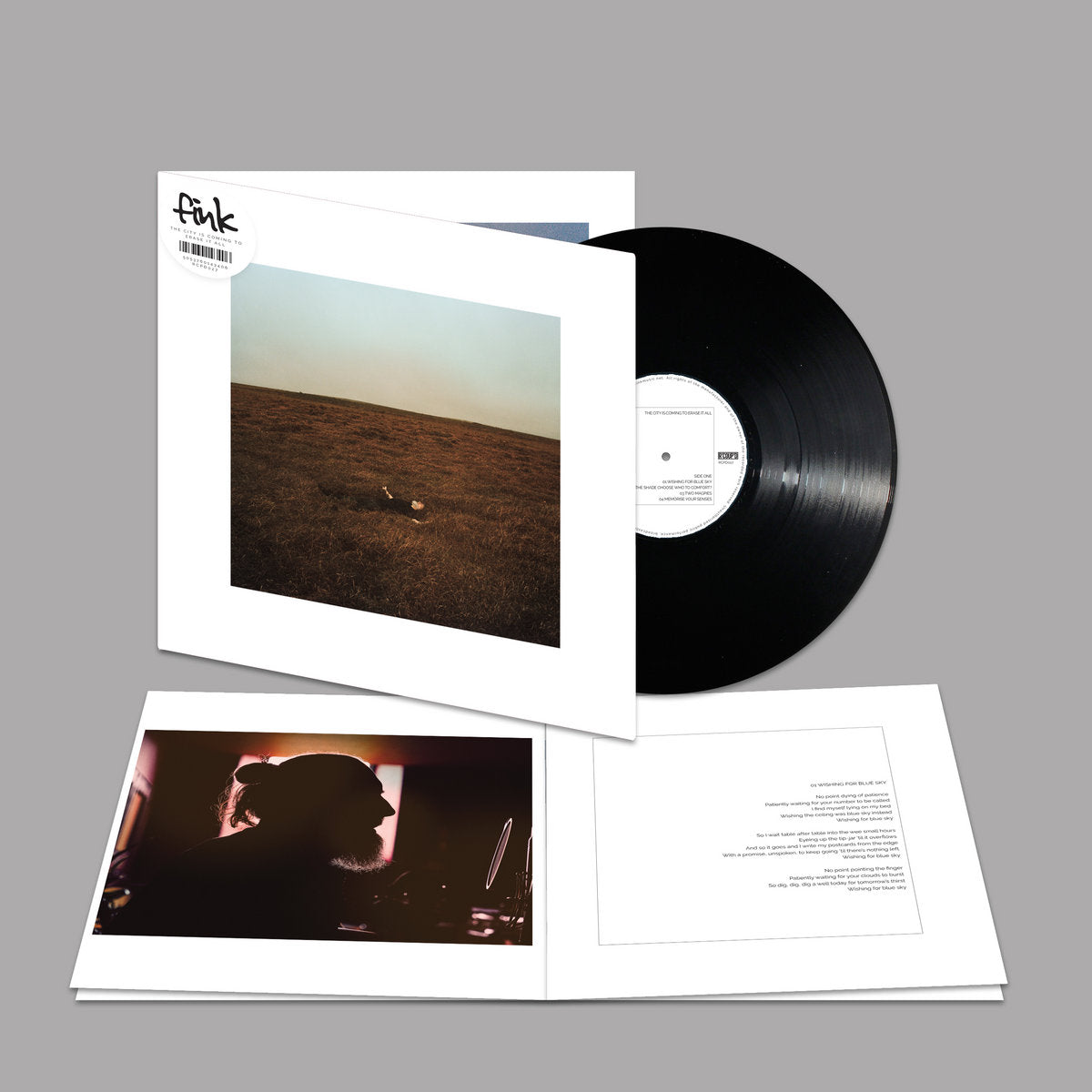 The City Is Coming To Erase it All: Gatefold Black Vinyl LP [ vinyl ]