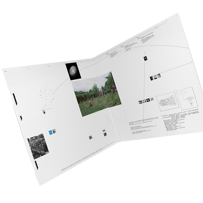 Collections From The Whiteout: Exclusive Deluxe LP [ vinyl ]