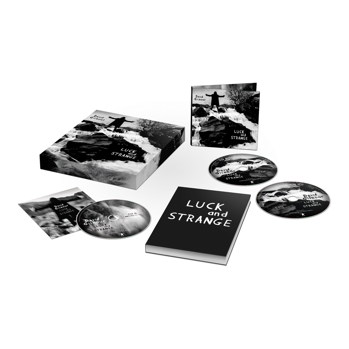 Luck and Strange: Deluxe CD & Blu-ray Box Set [ vinyl ]
