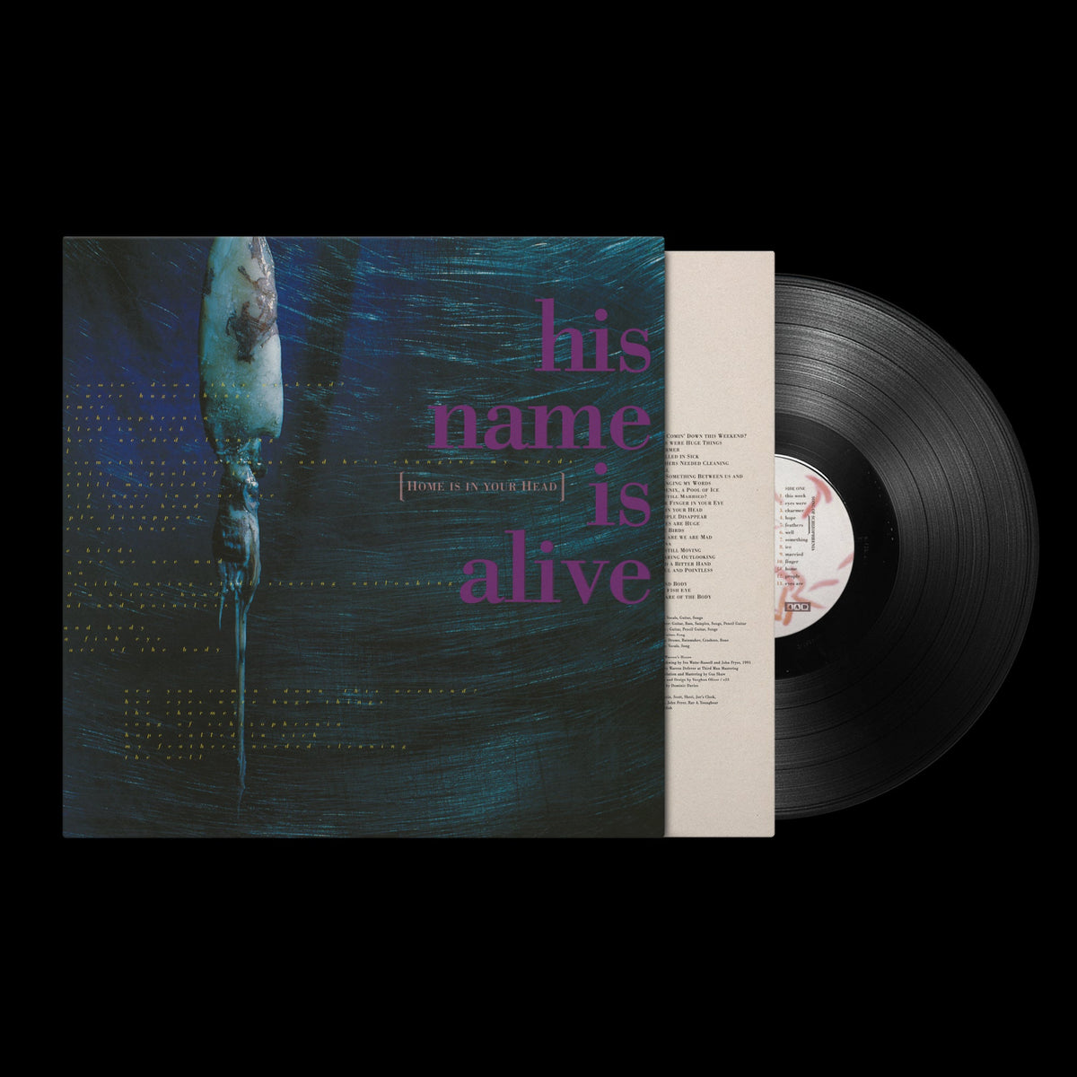 Home Is In The Head (2024 Remastered Edition): Vinyl LP [ vinyl ]