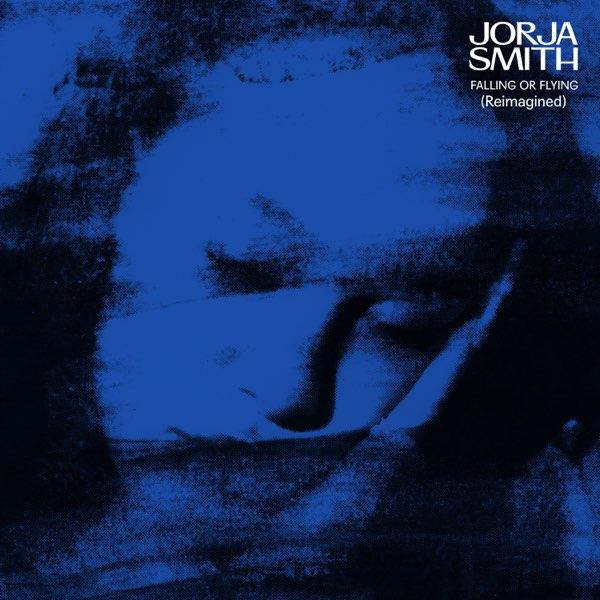 falling or flying (Reimagined): Vinyl LP [ vinyl ]