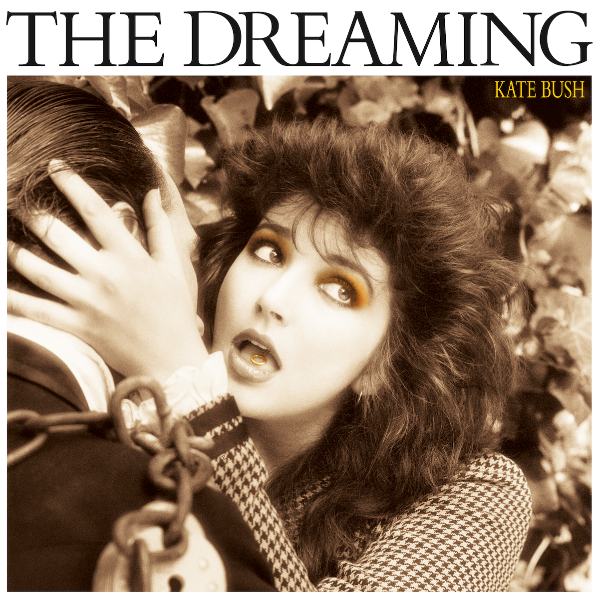 The Dreaming (2018 Remaster): Vinyl LP [ vinyl ]