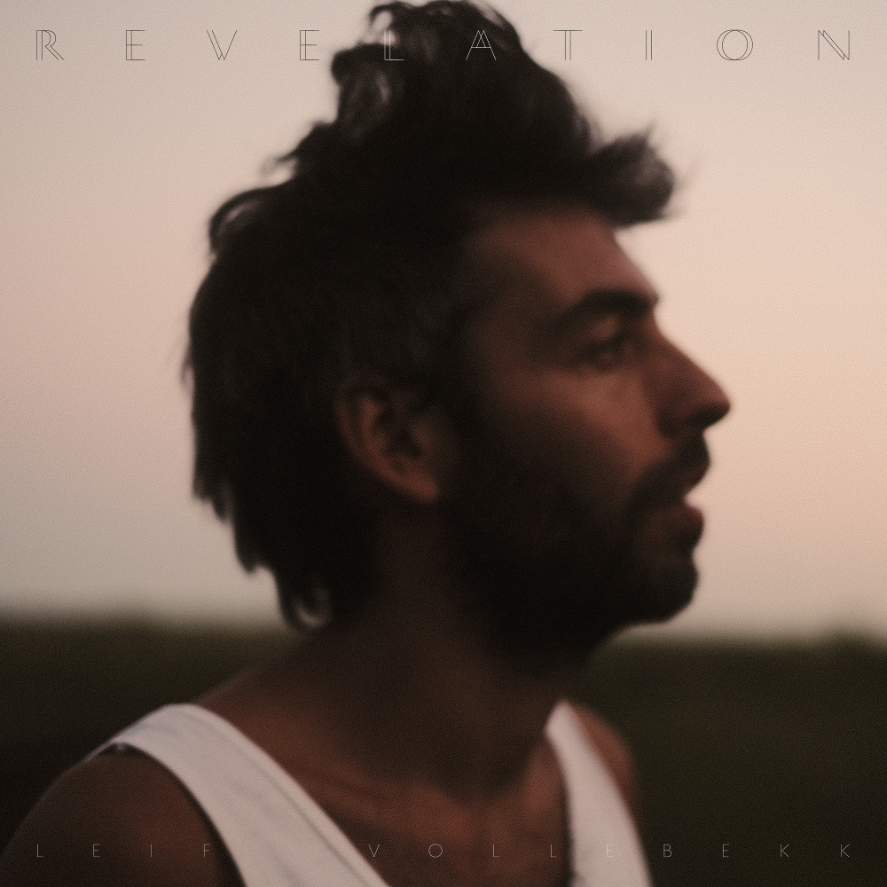 Revelation: Vinyl 2LP [ vinyl ]