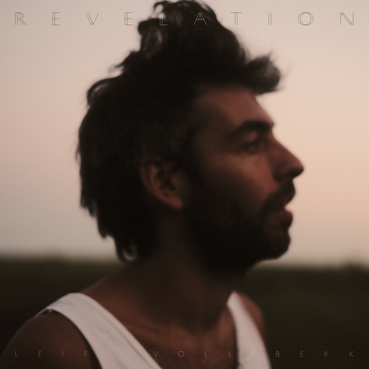 Revelation: Vinyl 2LP [ vinyl ]