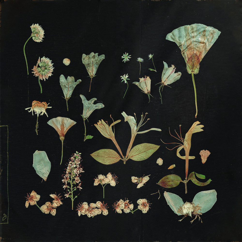 When The Quiet Comes: Cream Vinyl 2xLP [ vinyl ]