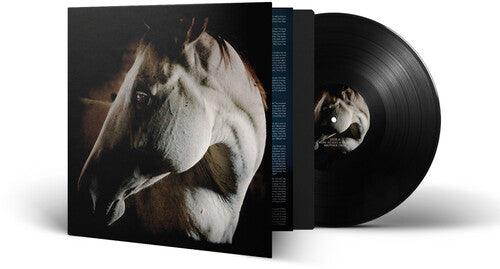 Brother Dege- How To Kill A Horse (Vinyl) [ vinyl ]