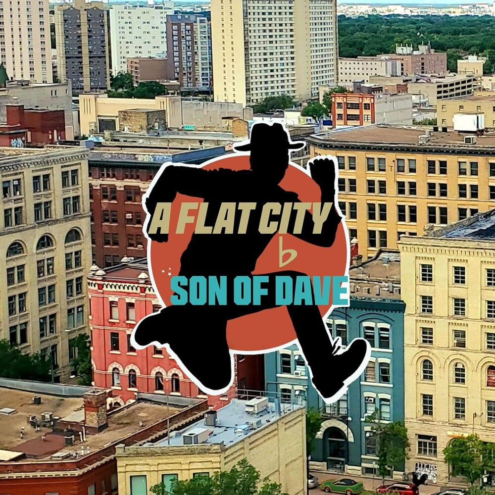 Son Of Dave- Flat City (Vinyl) [ vinyl ]