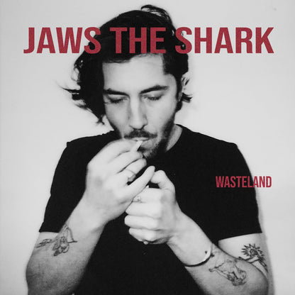 Wasteland: Claret Red Vinyl LP [ vinyl ]