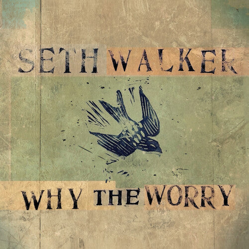 Seth Walker- WHY THE WORRY (Vinyl) [ vinyl ]