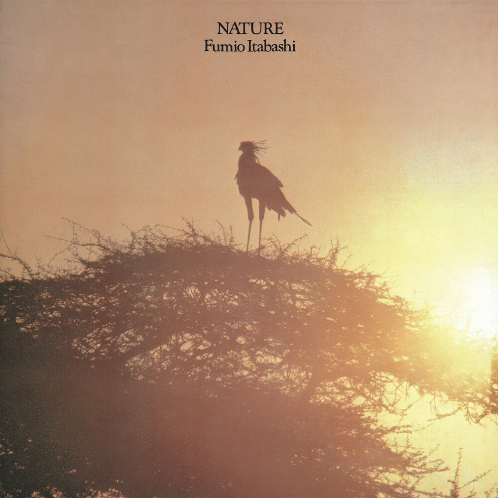 Fumio Itabashi - Nature LP