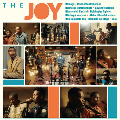 The Joy: Vinyl LP