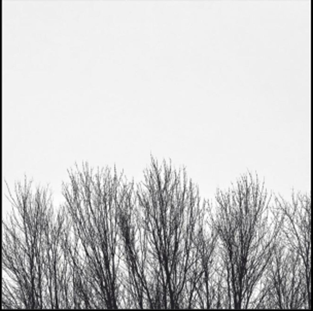 Northwoods Improvisers - White Sky CD (Preorder: Ships September 25, 2026)
