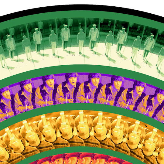 Pet Sounds Exclusive Zoetrope Vinyl LP [ vinyl ]