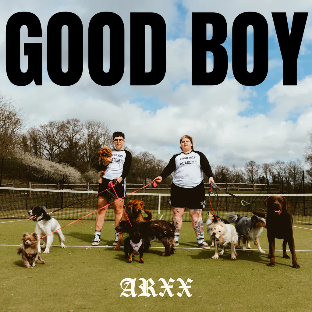 Good Boy: Clear Vinyl LP [ vinyl ]