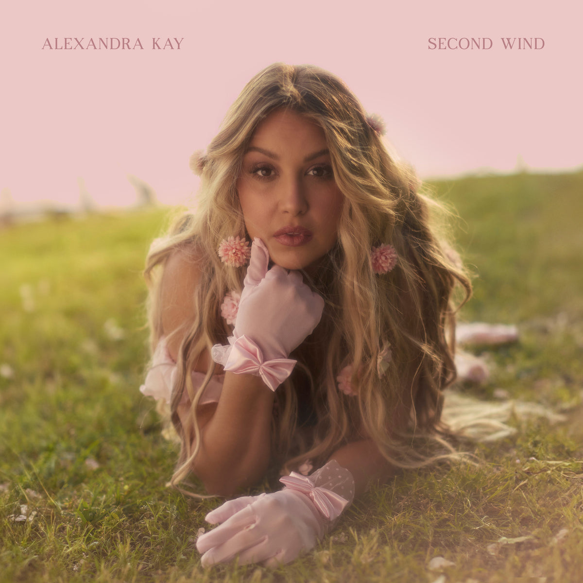 Second Wind: Pink Vinyl LP [ vinyl ]