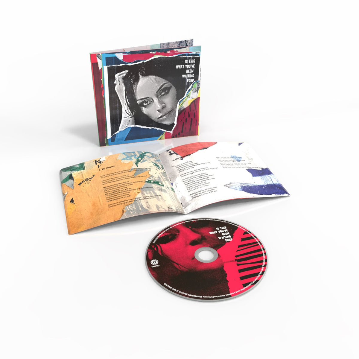Is This What You've Been Waiting For? CD [ vinyl ]