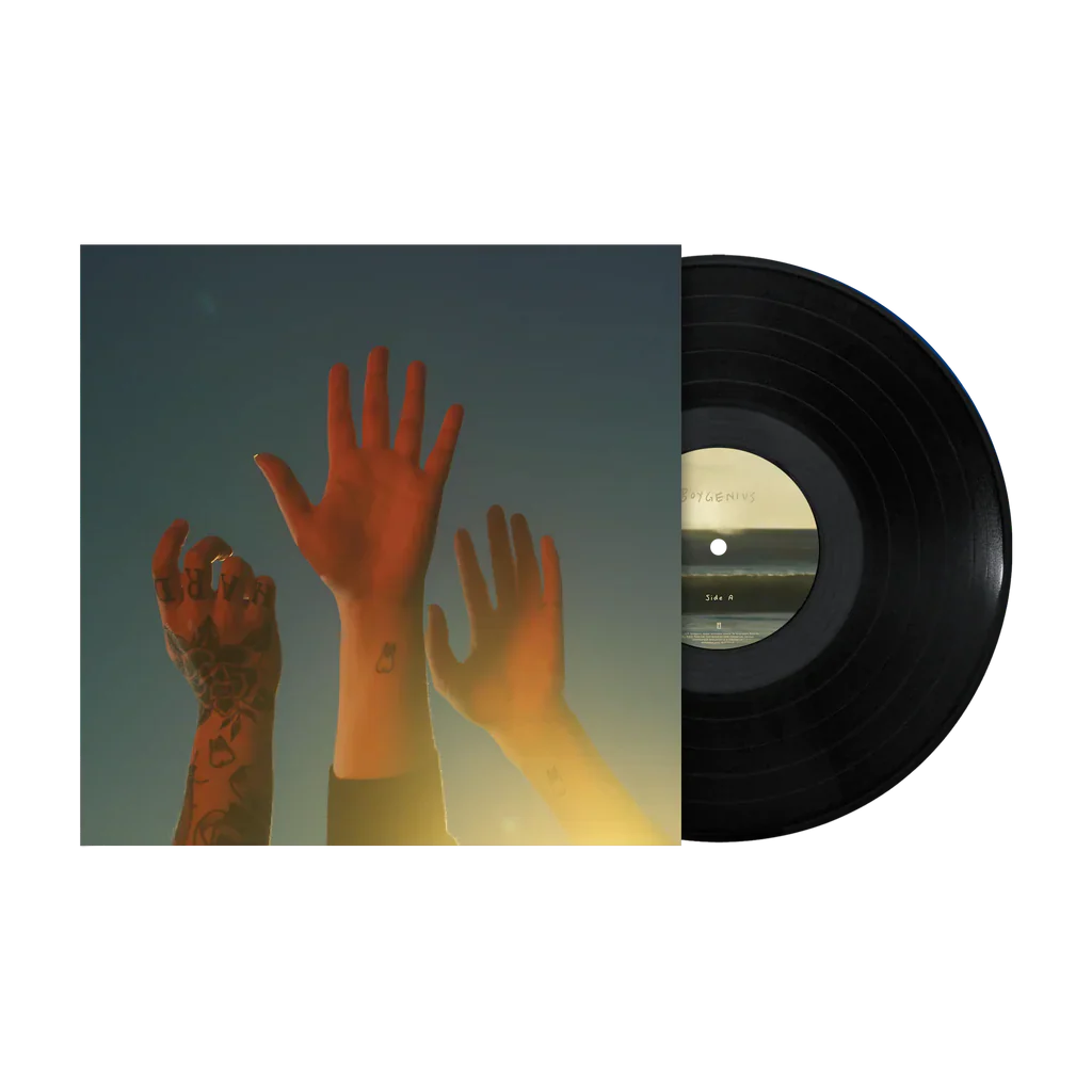 the record vinyl lp [black vinyl] [ vinyl ]