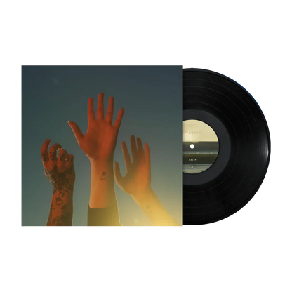 the record vinyl lp [black vinyl] [ vinyl ]