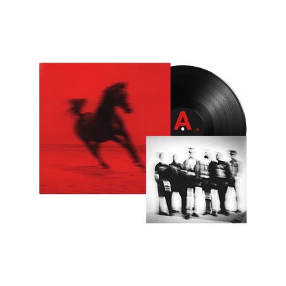 BUCK: Vinyl LP + Signed Art Card [ vinyl ]