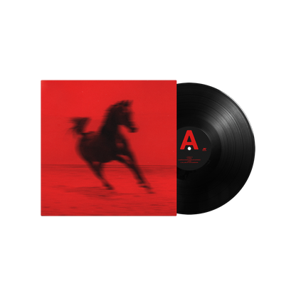 BUCK: Vinyl LP + Signed Art Card [ vinyl ]
