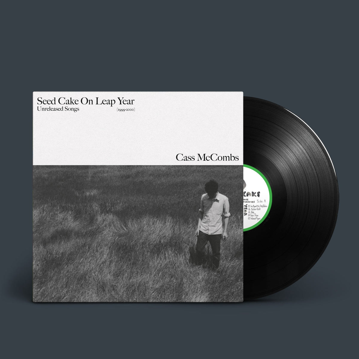 Seed Cake On Leap Year: Vinyl LP [ vinyl ]