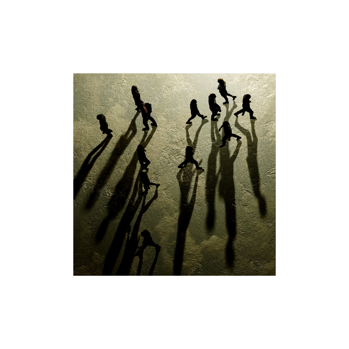 Constellations For The Lonely: Exclusive CD & Signed Print [ vinyl ]