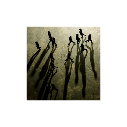 Constellations For The Lonely: Exclusive CD & Signed Print [ vinyl ]