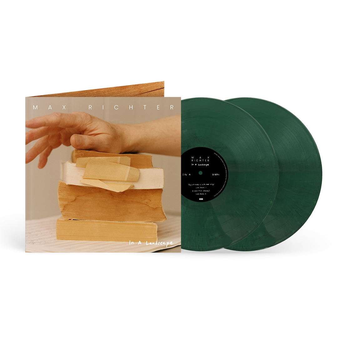 In A Landscape (exclusive) 2LP [ vinyl ]