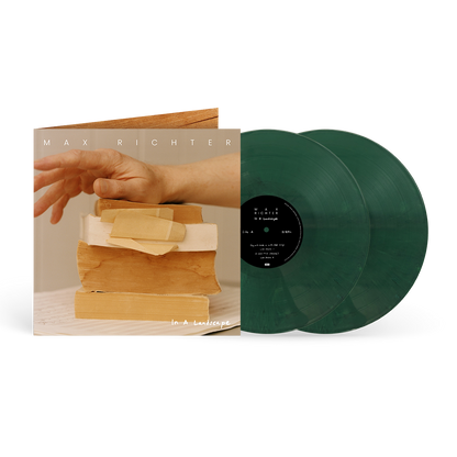 In A Landscape (exclusive) 2LP [ vinyl ]