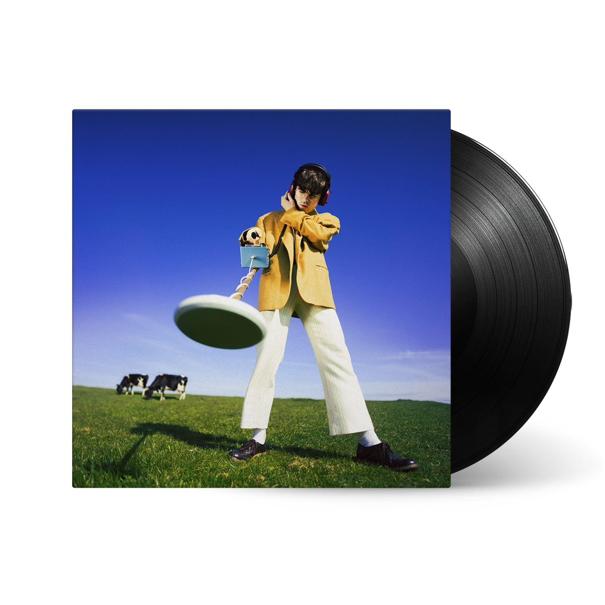 What Happened to the Beach? Vinyl LP [ vinyl ]