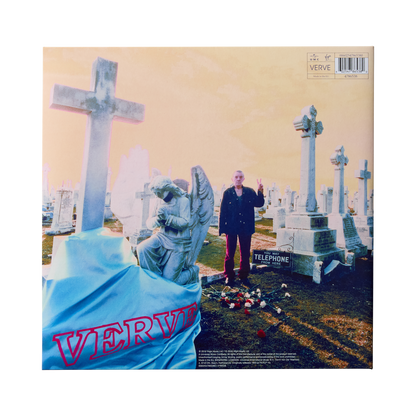 A Storm In Heaven: Vinyl LP [ vinyl ]
