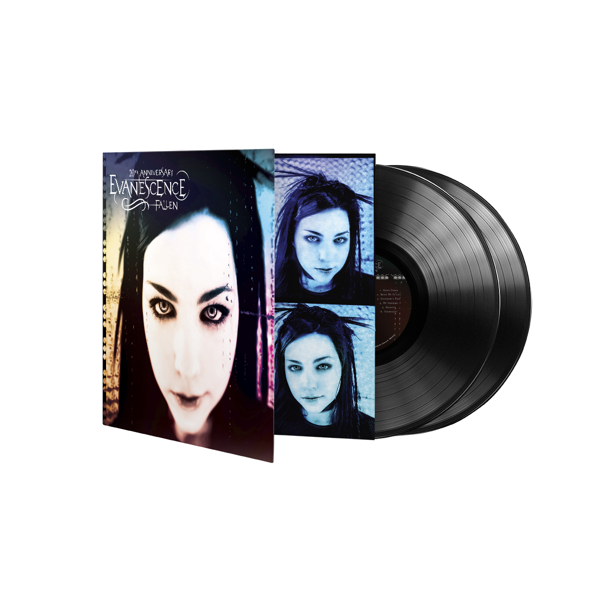 Fallen (20th Anniversary Edition): Vinyl 2LP [ vinyl ]