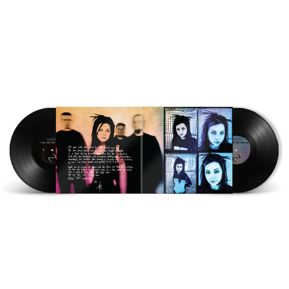 Fallen (20th Anniversary Edition): Vinyl 2LP [ vinyl ]