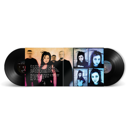 Fallen (20th Anniversary Edition): Vinyl 2LP [ vinyl ]