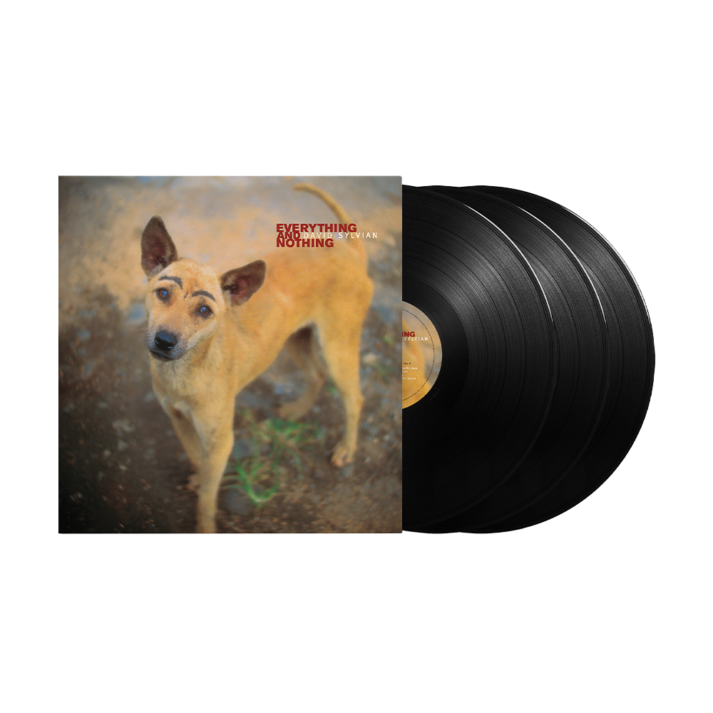 Everything And Nothing: Vinyl 3LP [ vinyl ]