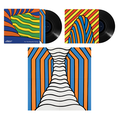 For That Beautiful Feeling 2LP Black Vinyl [ vinyl ]