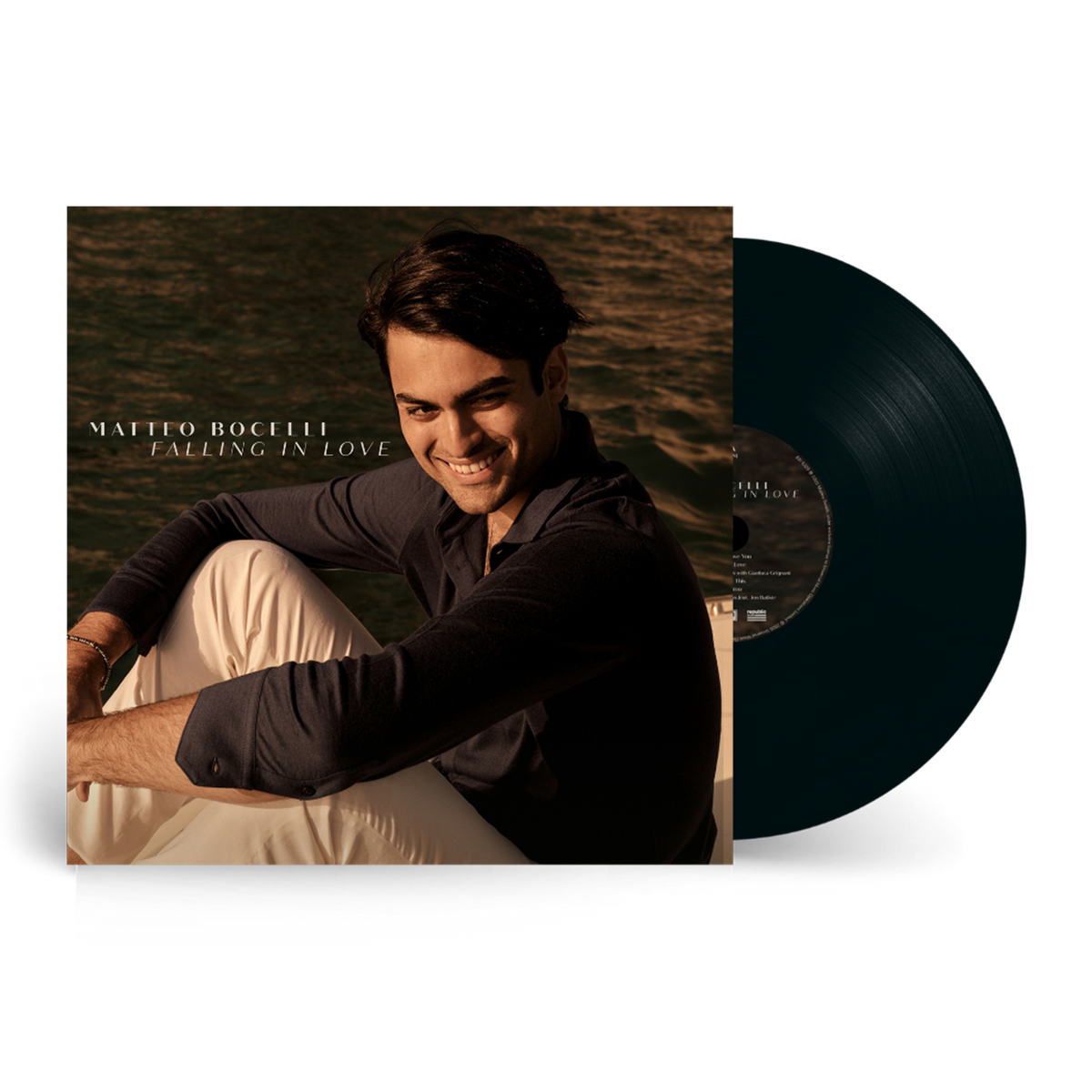 Falling In Love: Vinyl LP [ vinyl ]