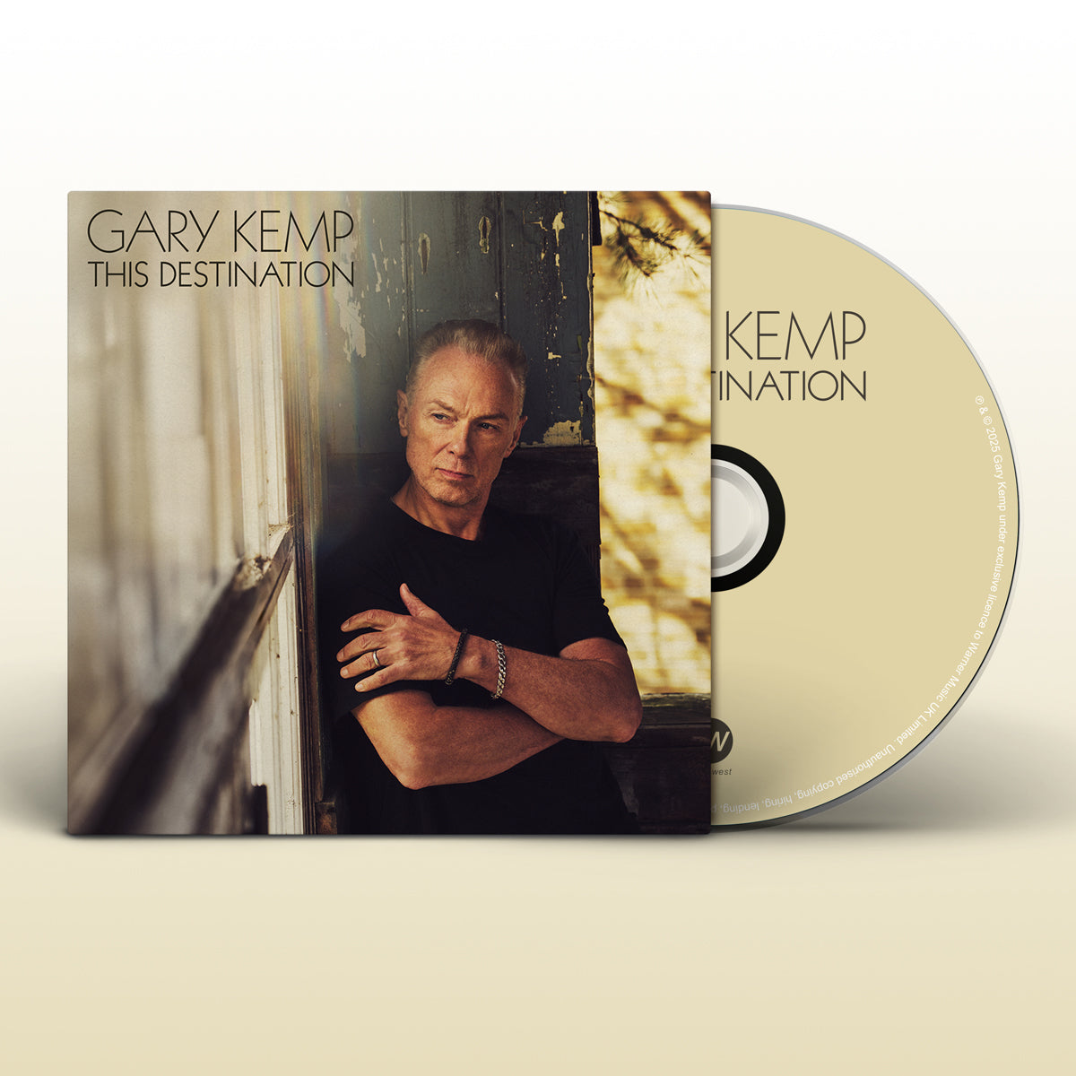 This Destination CD [ vinyl ]