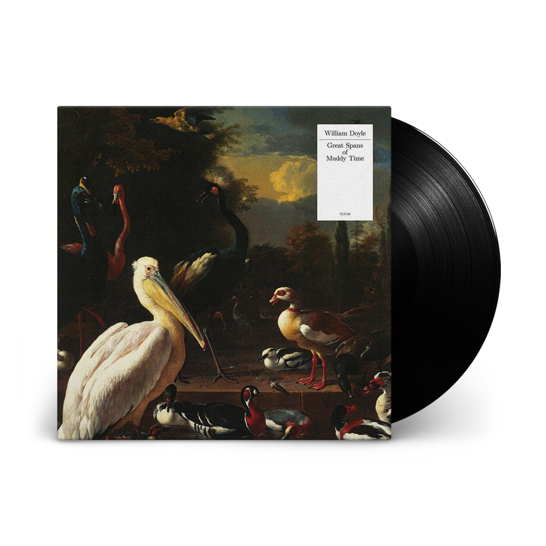 Great Spans of Muddy Time: Vinyl LP [ vinyl ]