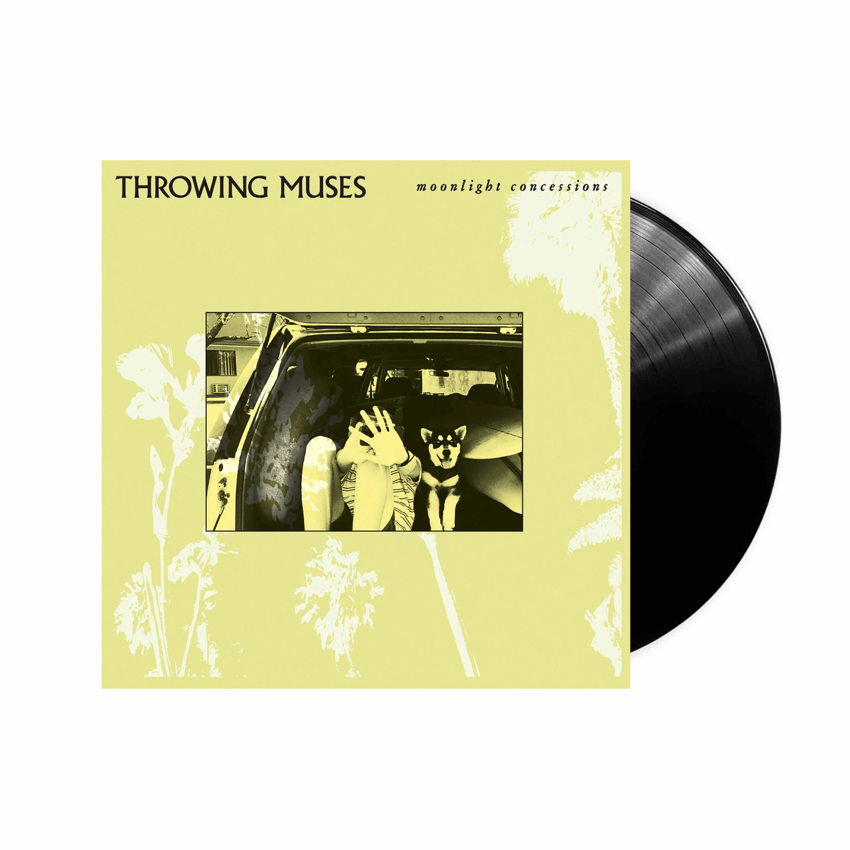 Moonlight Concessions: Classic Black Vinyl LP [ vinyl ]