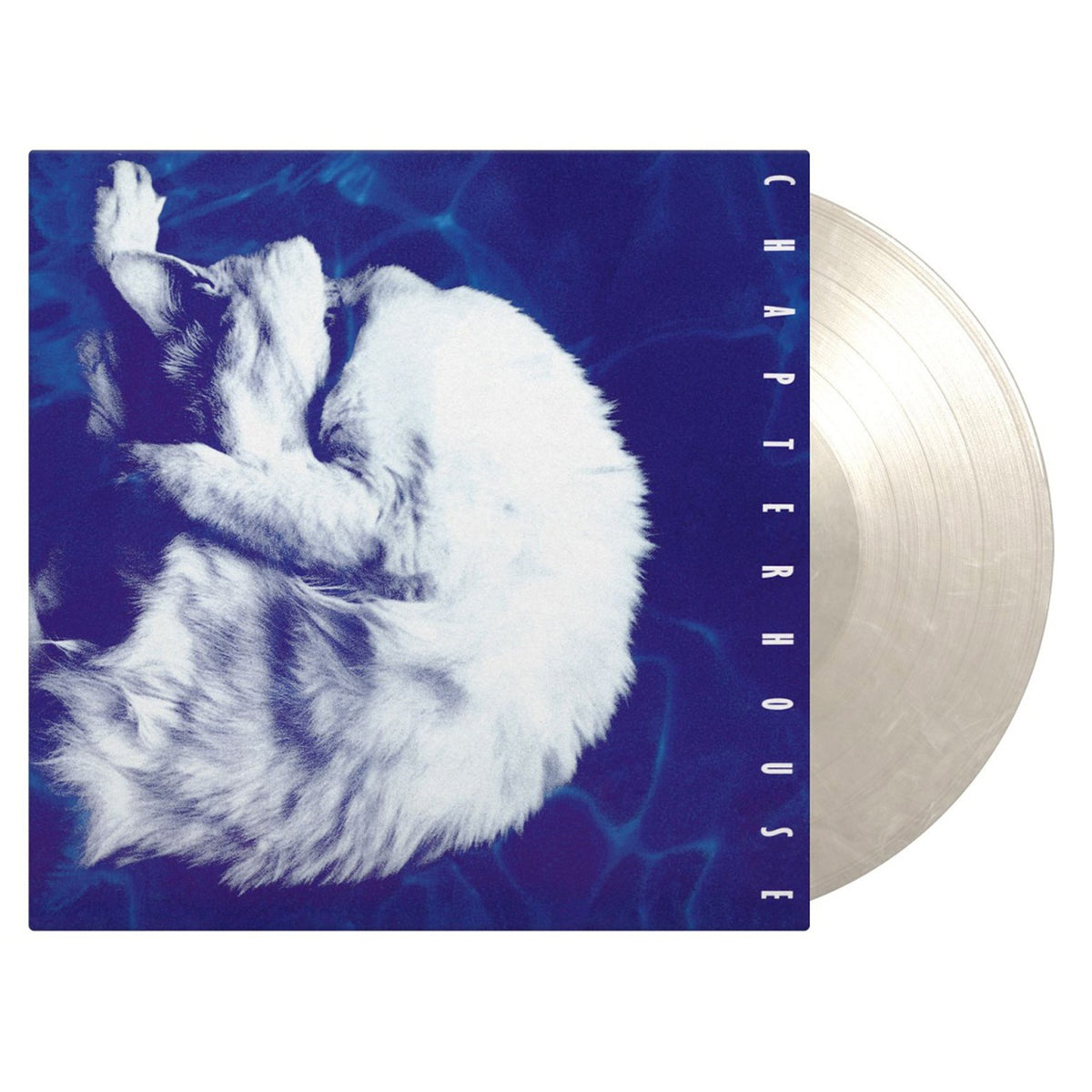 Whirlpool: Limited White Marbled Vinyl LP [ vinyl ]