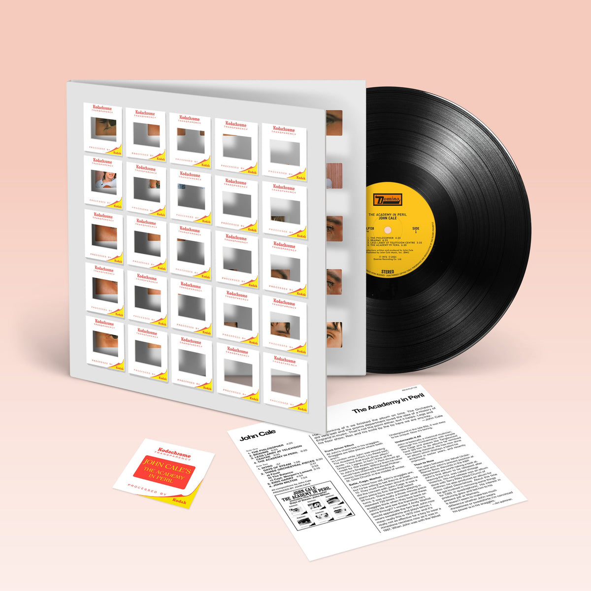 The Academy in Peril: Vinyl LP [ vinyl ]