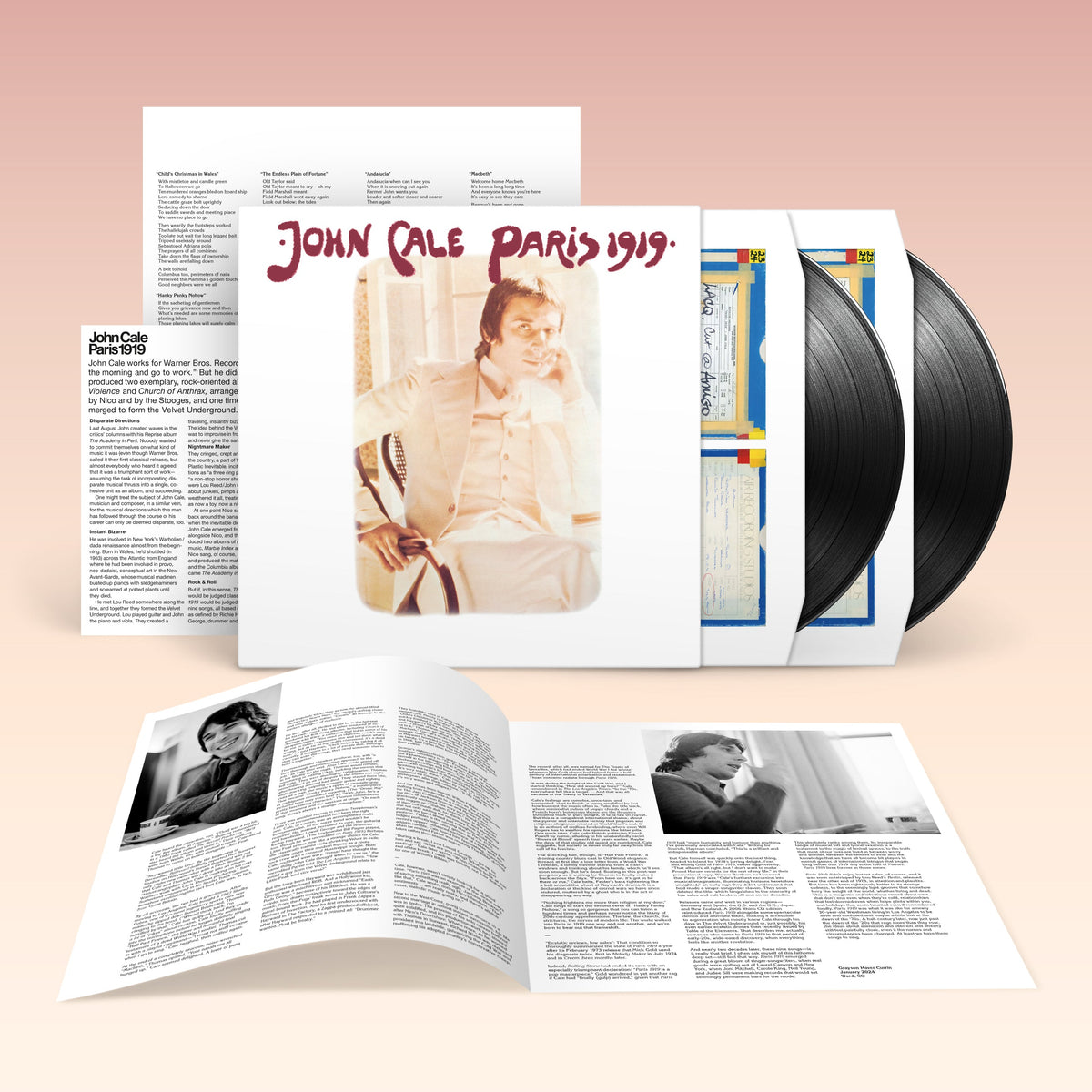 Paris 1919: Vinyl 2LP [ vinyl ]