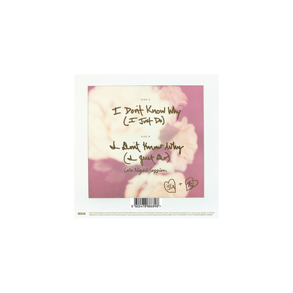 I Don't Know Why (I Just Do) - 7" Single [ vinyl ]